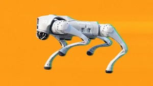 Go2 robot dog from Unitree Robotics