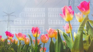 abstract data center collage ai energy use tulips