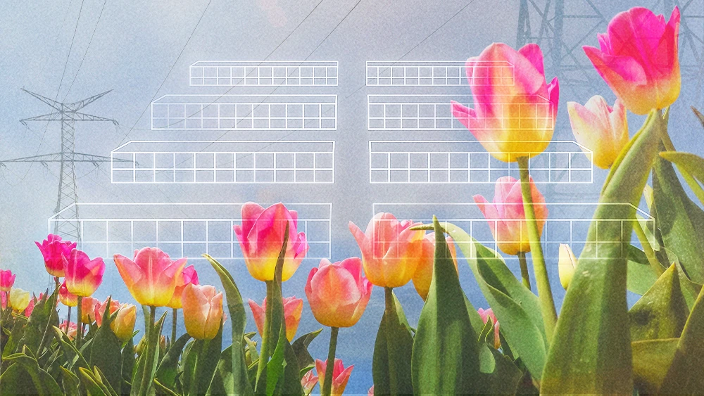 abstract data center collage ai energy use tulips