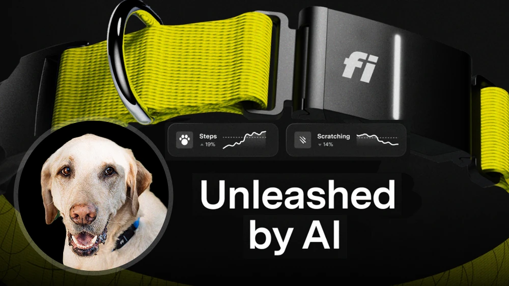 Fi smart dog collar - unleashed with AI