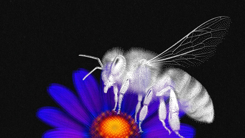 ai bee on ultraviolet flower