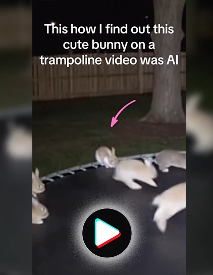 AI bunnies on trampoline TikTok video