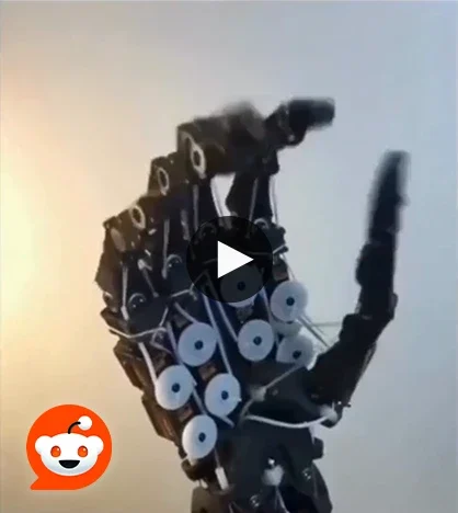 watch evolution of robotic hands on reddit