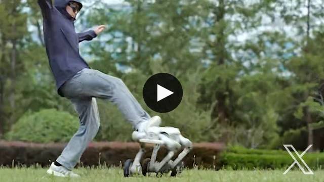 Zsibot new robot dog gets kicked