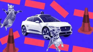 Weymo self-driving car traffic cones dog and cat