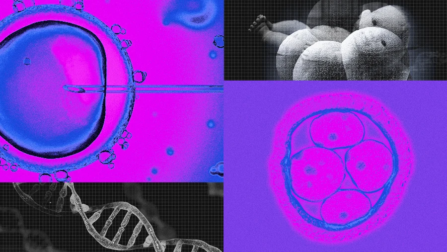 DNA gene editing CRISPR babies