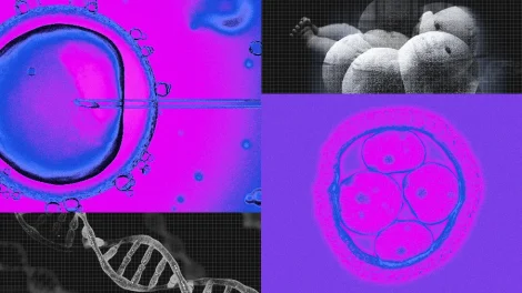 DNA gene editing CRISPR babies